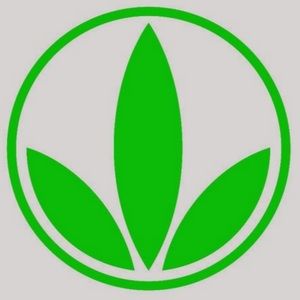 Meet your Posher, Lyn